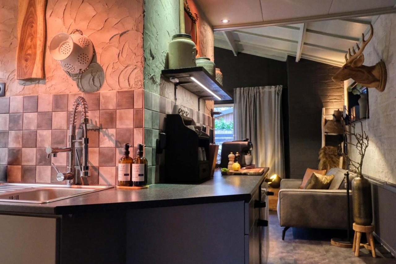 Lodge In Een Bosrijke Omgeving Met Hottub & Sauna Opt Rheezerveen Exterior foto